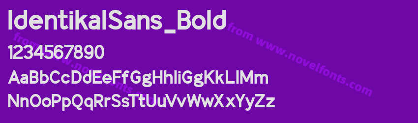 IdentikalSans_BoldPreview