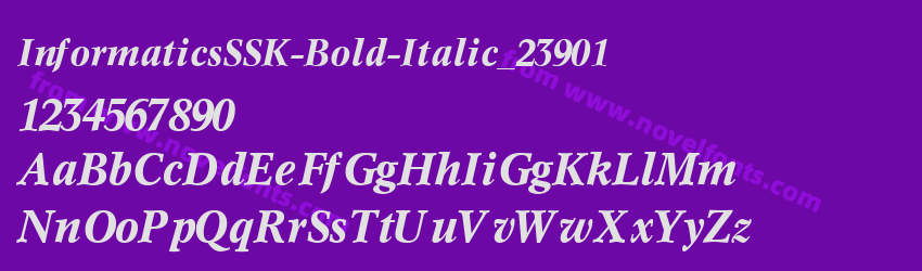 InformaticsSSK-Bold-Italic_23901Preview