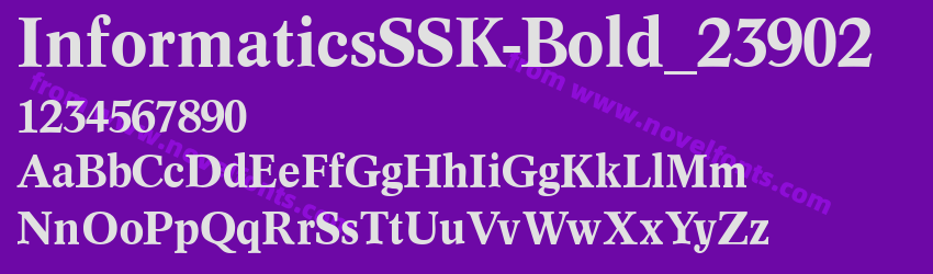 InformaticsSSK-Bold_23902Preview