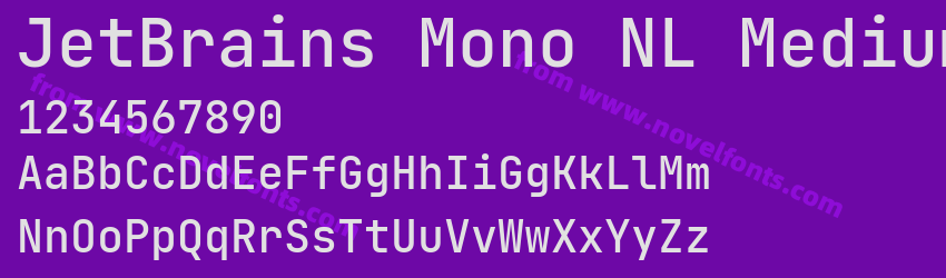 JetBrains Mono NL MediumPreview