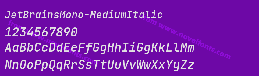 JetBrainsMono-MediumItalicPreview