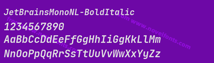 JetBrainsMonoNL-BoldItalicPreview