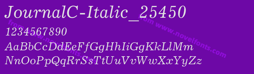 JournalC-Italic_25450Preview