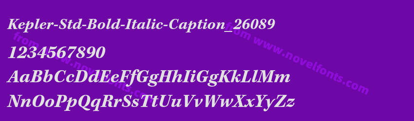 Kepler-Std-Bold-Italic-Caption_26089Preview