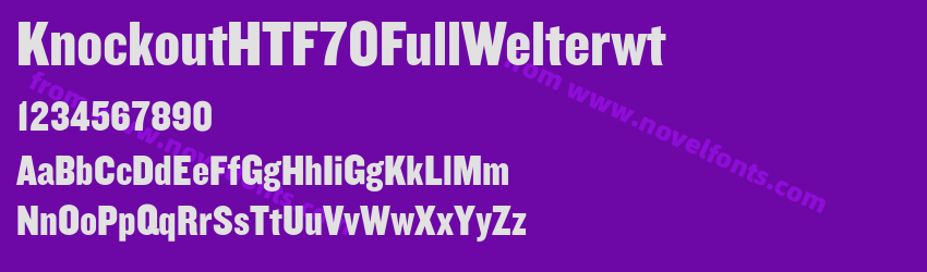 KnockoutHTF70FullWelterwtPreview