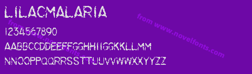 LilacMalariaPreview LilacMalariaPreview