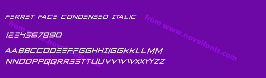 Ferret Face Condensed ItalicPreview