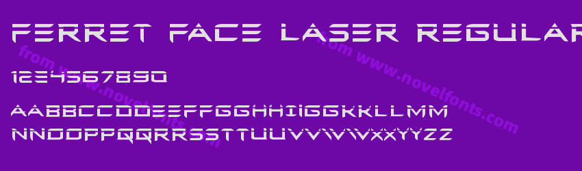 Ferret Face Laser RegularPreview