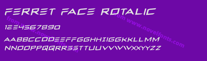 Ferret Face RotalicPreview