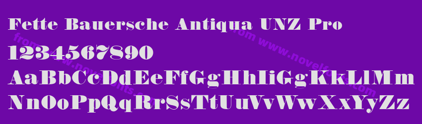 Fette Bauersche Antiqua UNZ ProPreview