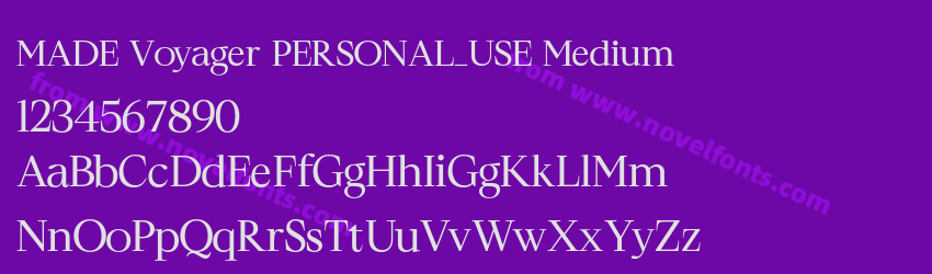 MADE Voyager PERSONAL_USE MediumPreview