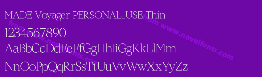 MADE Voyager PERSONAL_USE ThinPreview
