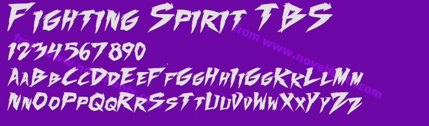 Fighting Spirit TBSPreview