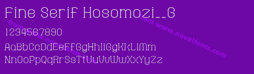 Fine Serif Hosomozi__GPreview