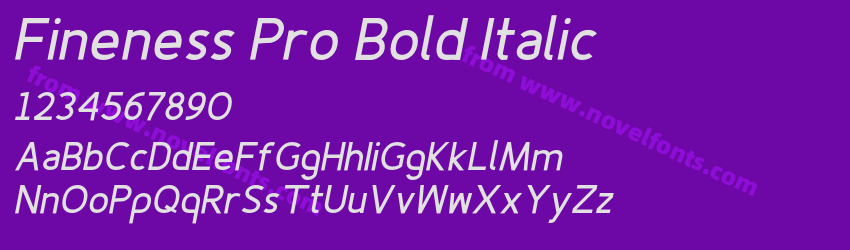 Fineness Pro Bold ItalicPreview