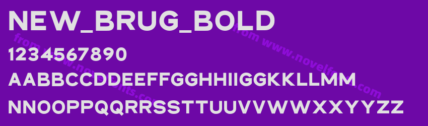 NEW_BRUG_BoldPreview