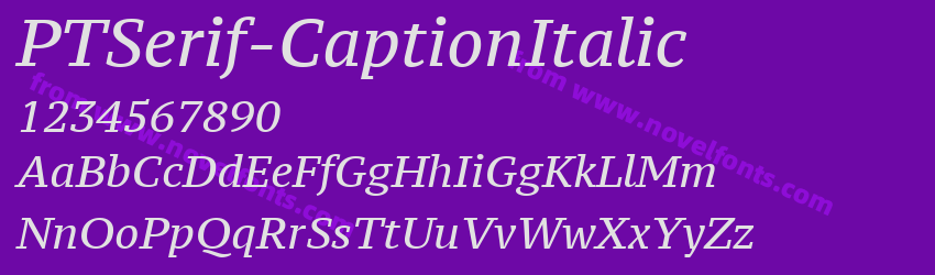 PTSerif-CaptionItalicPreview