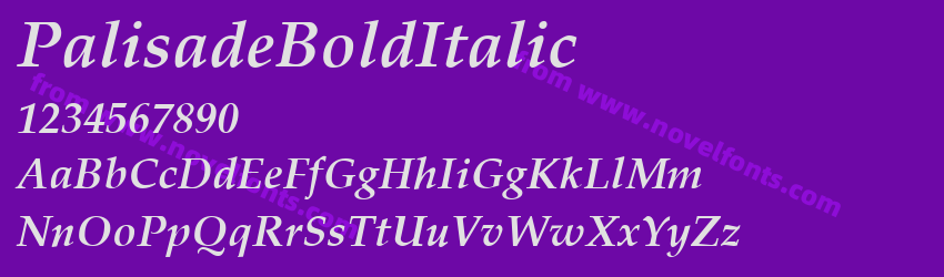 PalisadeBoldItalicPreview