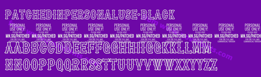 PatchedInPERSONALUSE-BlackPreview