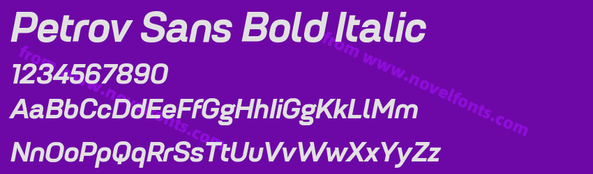 Petrov Sans Bold ItalicPreview