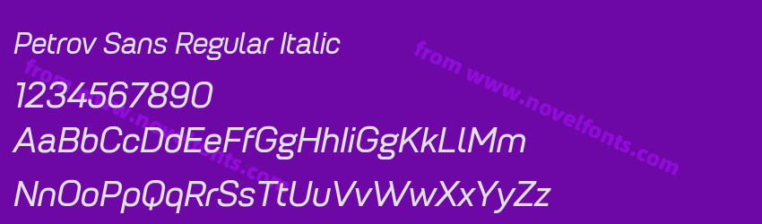 Petrov Sans Regular ItalicPreview