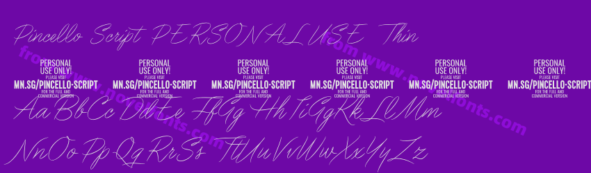 Pincello Script PERSONAL USE ThinPreview