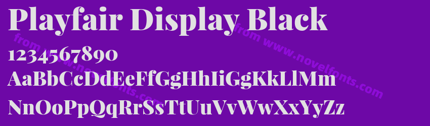 Playfair Display BlackPreview