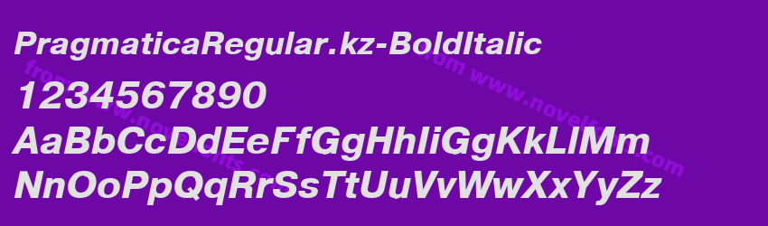 PragmaticaRegular.kz-BoldItalicPreview