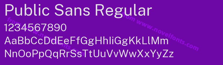 Public Sans RegularPreview