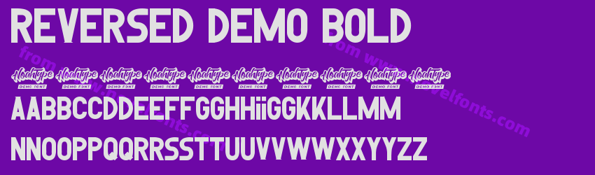 Reversed Demo BoldPreview