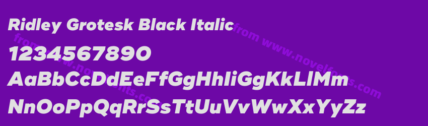 Ridley Grotesk Black ItalicPreview