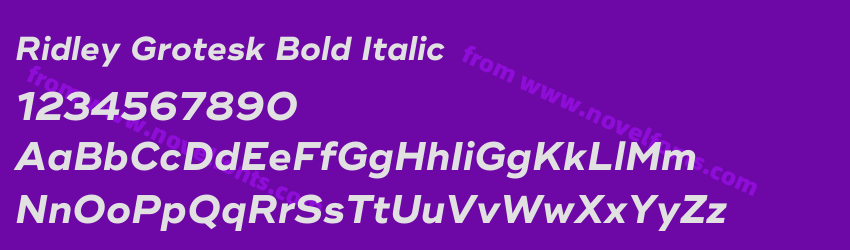 Ridley Grotesk Bold ItalicPreview