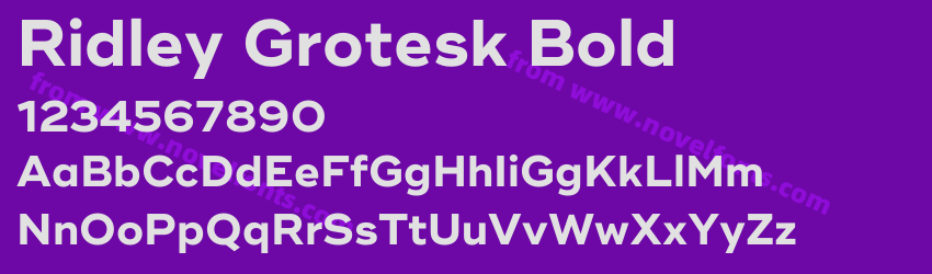 Ridley Grotesk BoldPreview