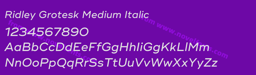 Ridley Grotesk Medium ItalicPreview