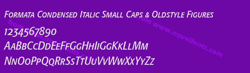 Formata Condensed Italic Small Caps & Oldstyle FiguresPreview