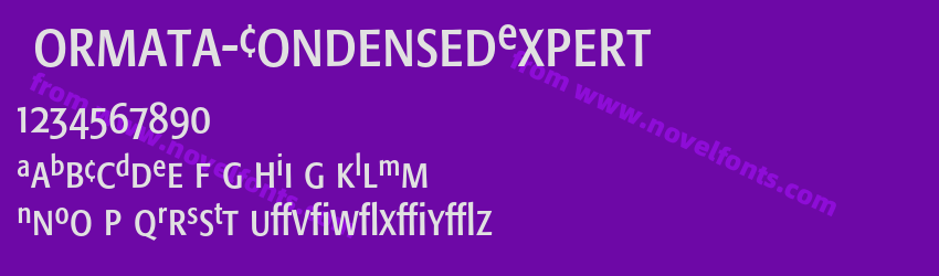Formata-CondensedExpertPreview