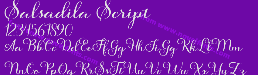 Salsadila ScriptPreview