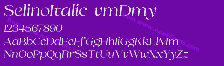 SelinoItalic-vmDmyPreview