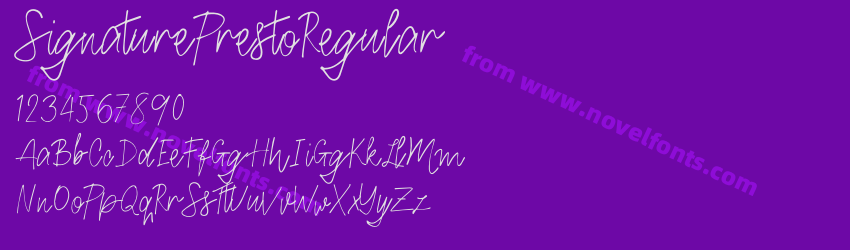 SignaturePrestoRegularPreview