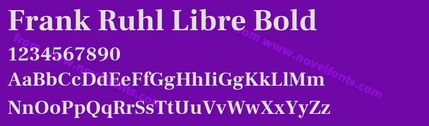 Frank Ruhl Libre BoldPreview