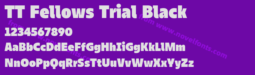 TT Fellows Trial BlackPreview