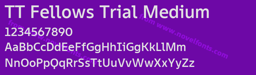 TT Fellows Trial MediumPreview