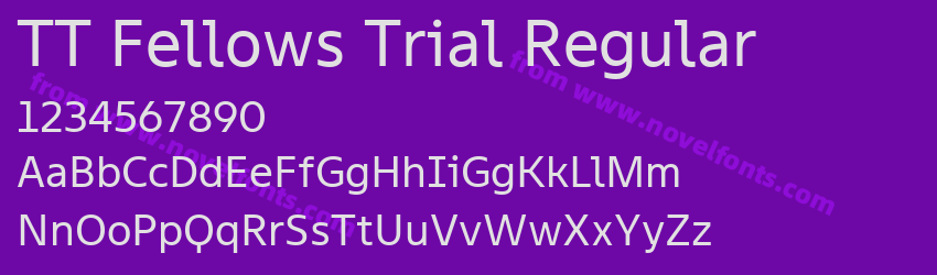 TT Fellows Trial RegularPreview