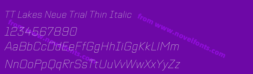 TT Lakes Neue Trial Thin ItalicPreview