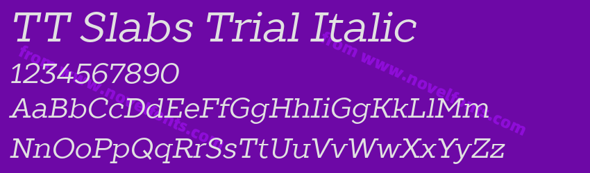 TT Slabs Trial ItalicPreview