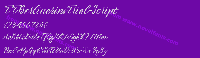TTBerlinerinsTrial-ScriptPreview
