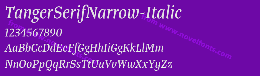 TangerSerifNarrow-ItalicPreview