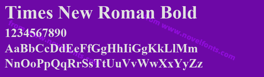 Times New Roman BoldPreview