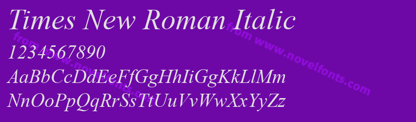 Times New Roman ItalicPreview