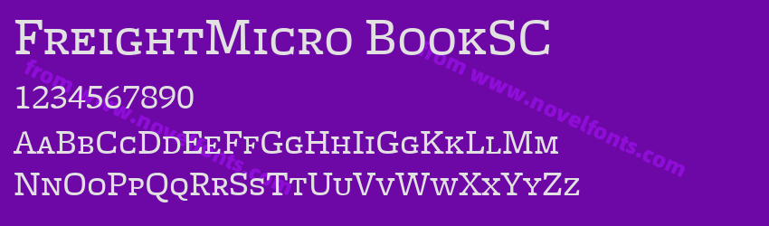 FreightMicro BookSCPreview